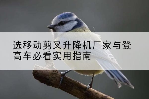 册亨电动升降机厂家-选移动剪叉升降机厂家与登高车必看实用指南