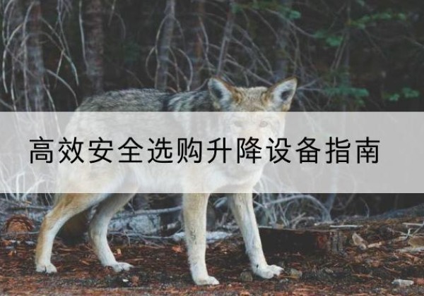 册亨升降货梯厂家推荐-*安全选购升降设备指南