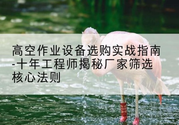 册亨剪叉式升降机厂家-高空作业设备选购实战指南-十年工程师揭秘厂家筛选核心法则